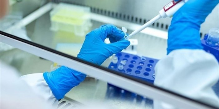 'gizemli Hepatit' Vakalarının Salgına Dönüşmesi Beklenmiyor