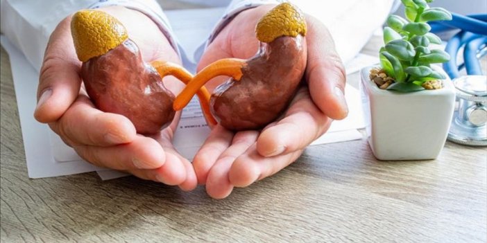 Türk Böbrek Vakfından 'bayramda Tercihinizi Sağlıklı Besinlerden Yana Kullanın' Önerisi