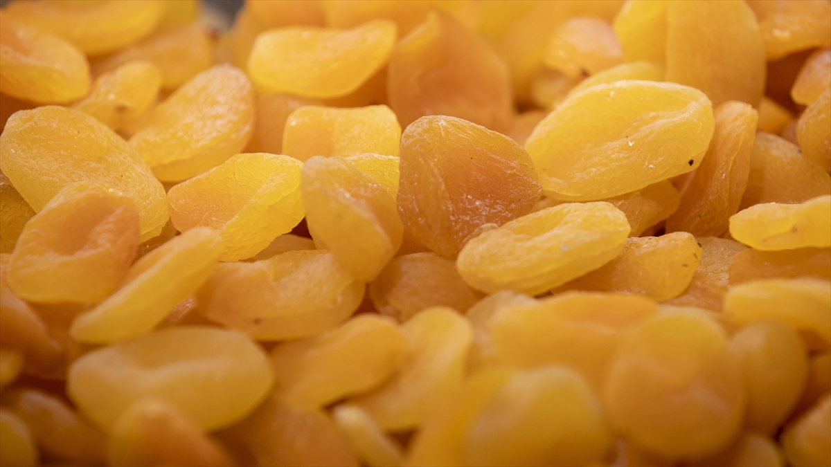 Malatya'dan Nisanda 32,5 Milyon Dolarlık Kuru Kayısı İhracatı Yapıldı