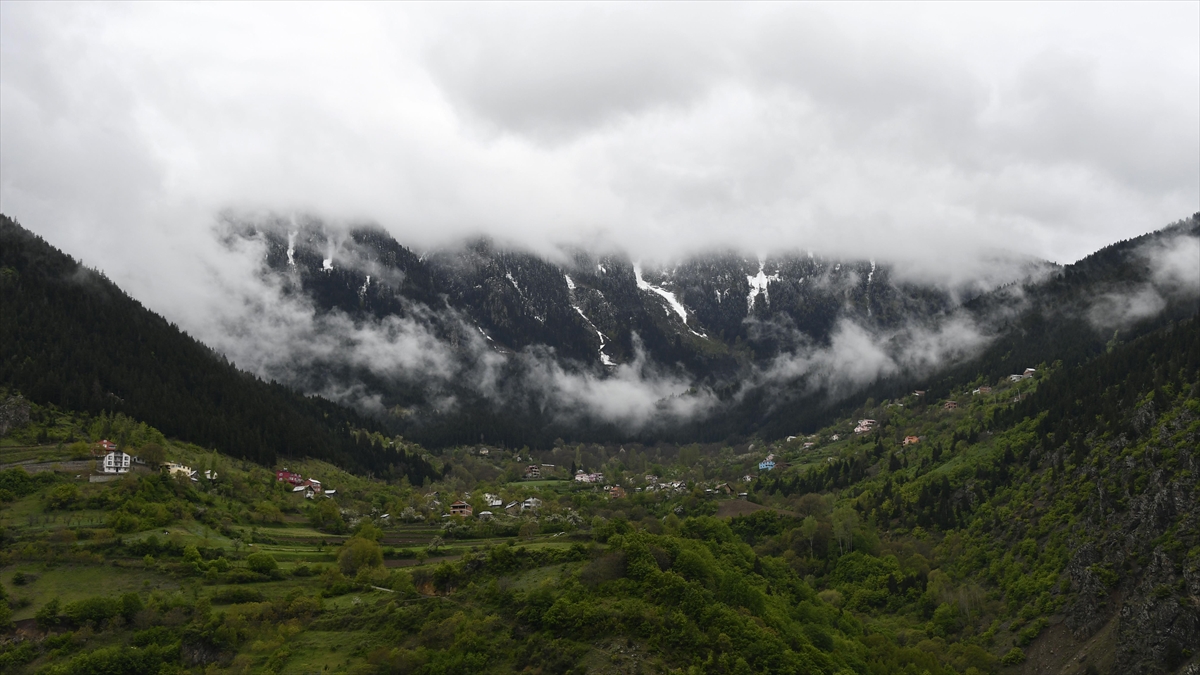 Beyaz Örtüyle Kaplanan Limni Gölü Tabiat Parkı Ziyaretçi Akınına Uğradı