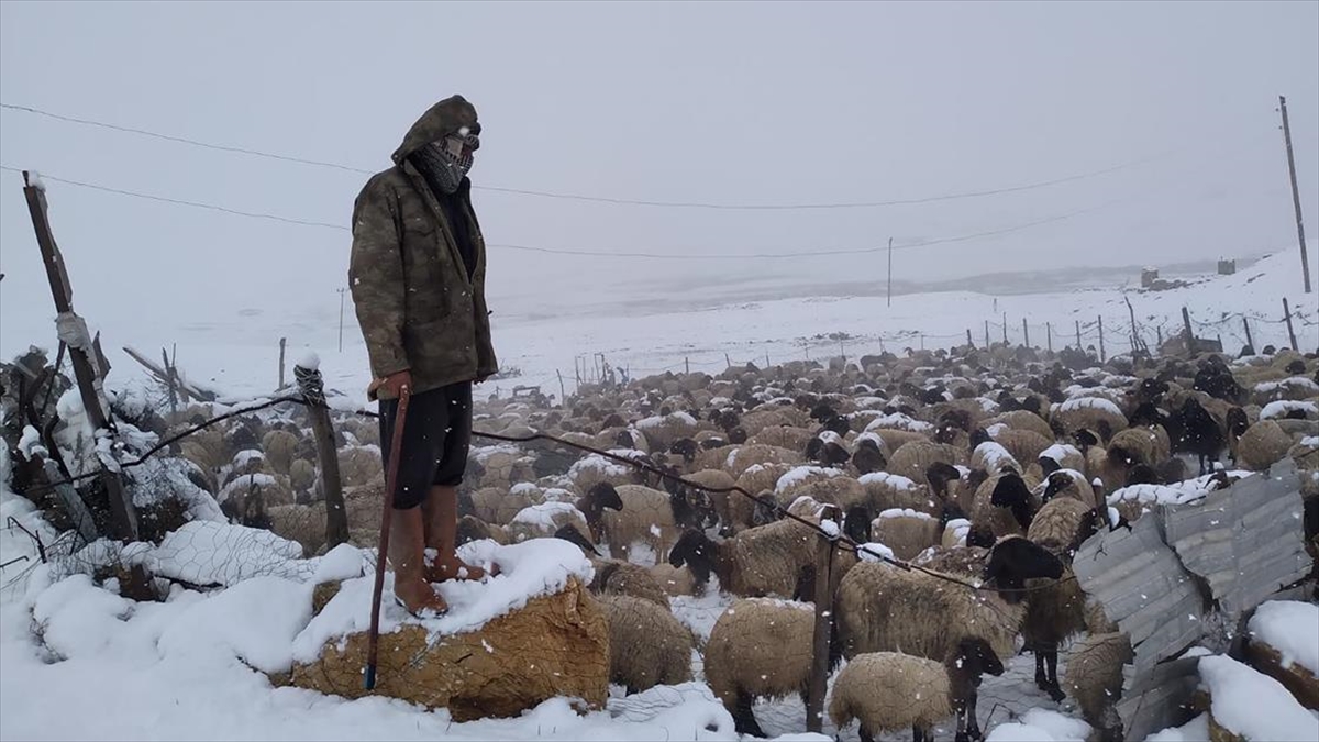 Göçerler, Kar Ve Tipi Nedeniyle Faraşin Yaylası'nda Mahsur Kaldı