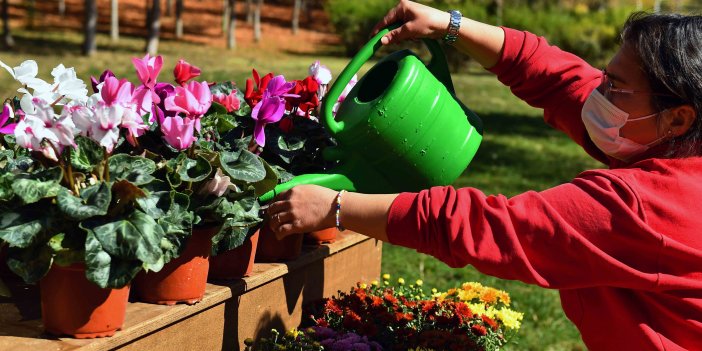 ANFA’DAN ÖZEL MÜLKLERE PEYZAJ HİZMETİ