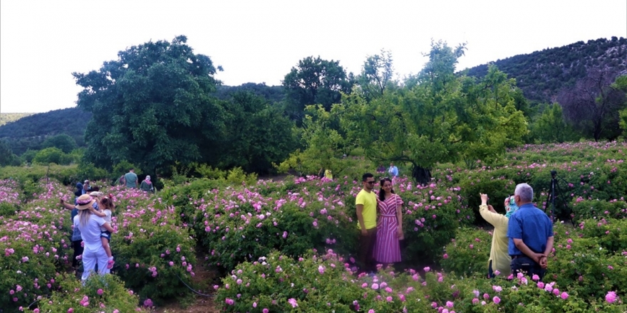 Isparta'da Gül Festivali