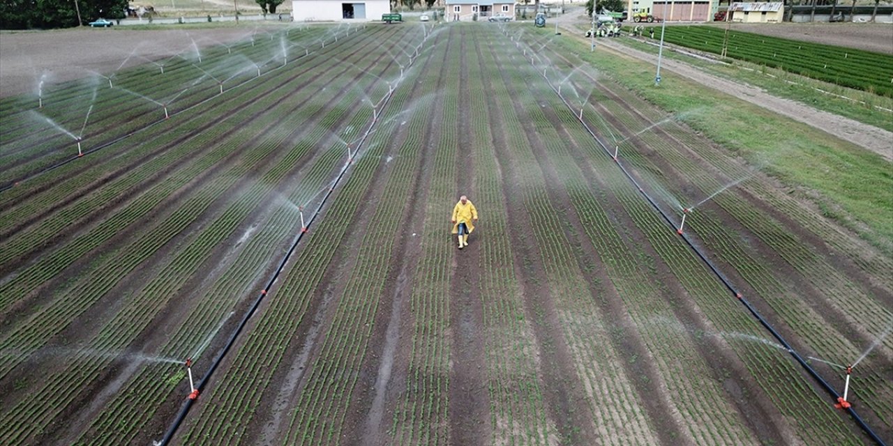 2022 Yılı Sulama Tesisleri Ücret Tarifesi Belirlendi
