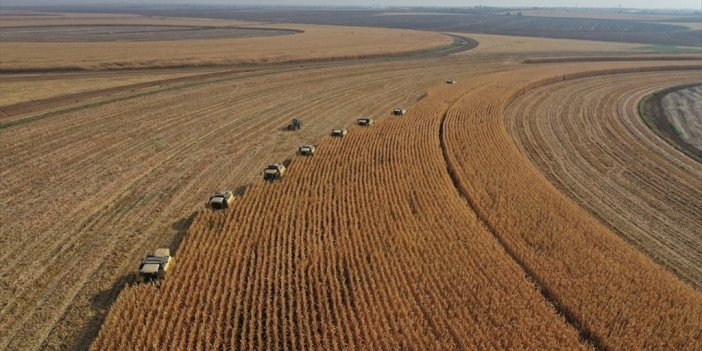 Çiftçi Sayısında Ordu, Tarım Arazisinde Konya Zirvede