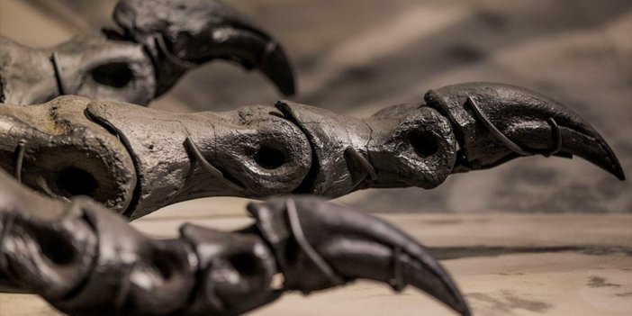 Jurassic Park Filmine İlham Veren Dinozor İskeleti, 12,4 Milyon Dolara Satıldı