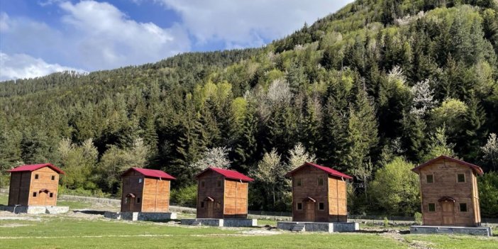 Posof'un Ormanlar Arasındaki Bungalov Evleri Cezbedecek