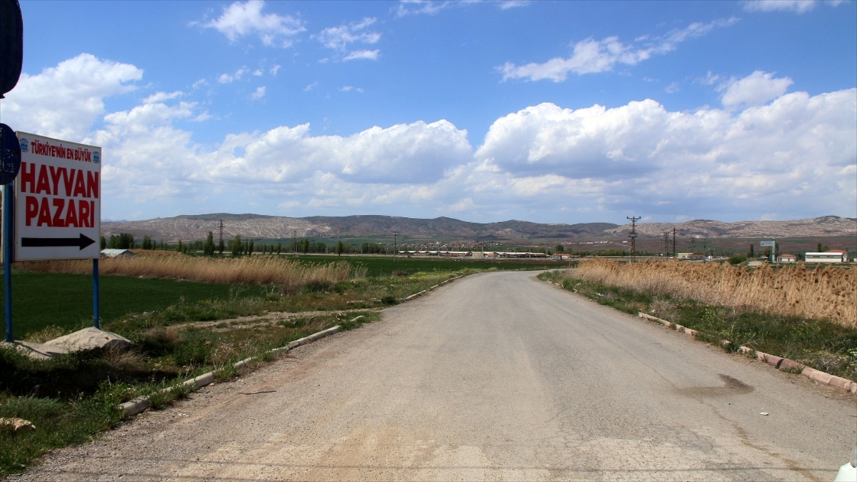 Türkiye'nin En Büyük Canlı Hayvan Pazarının Kapasitesi Artırılacak