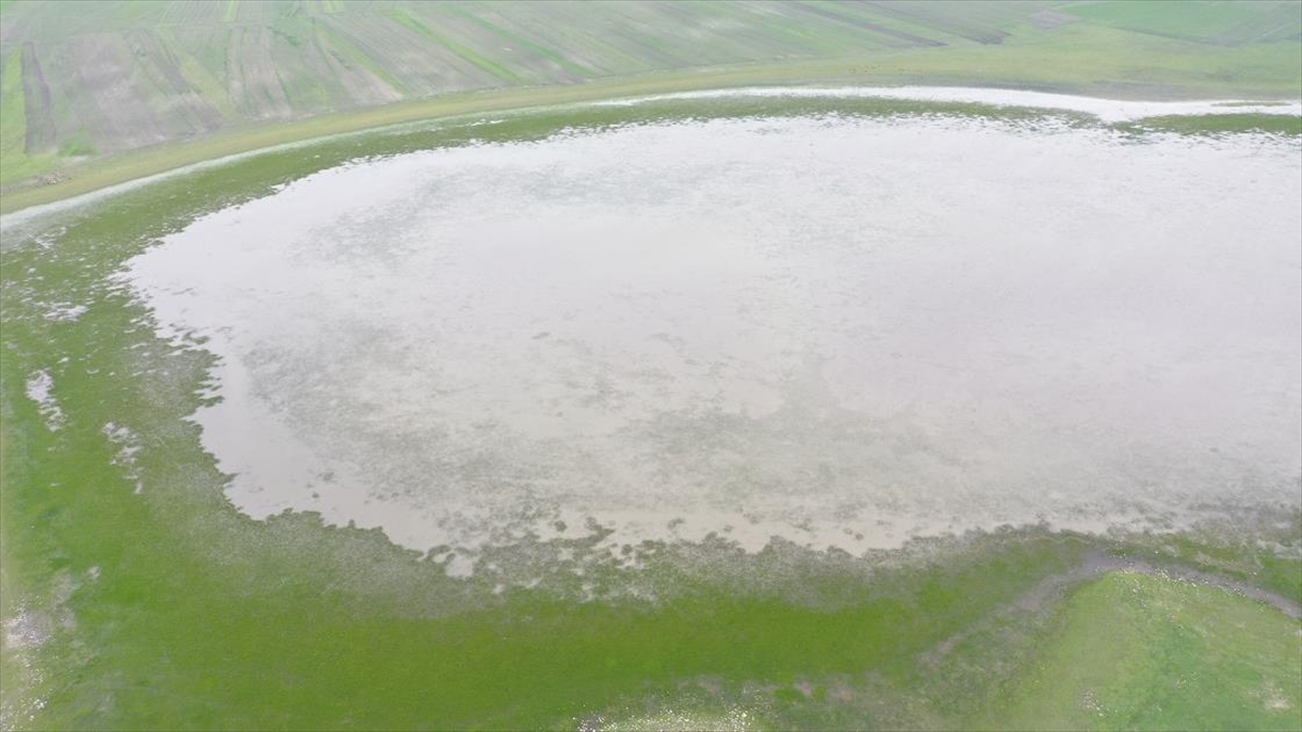 Dünya Göçmen Kuşlar Günü'nde Kuyucuk Gölü'nde 23 Tür Kuş Tespit Edildi