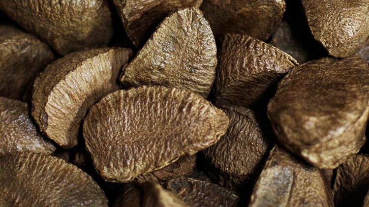 Testosteron düzeyini artırıyor, kellik tedavisinde kullanılıyor!