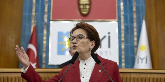 Akşener, Erdoğan'ı 'Tazmanya Canavarı'na Benzetti