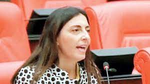 CHP'li Kayışoğlu meclis'te müzik yasağını Kürtçe şarkı okuyarak protesto etti