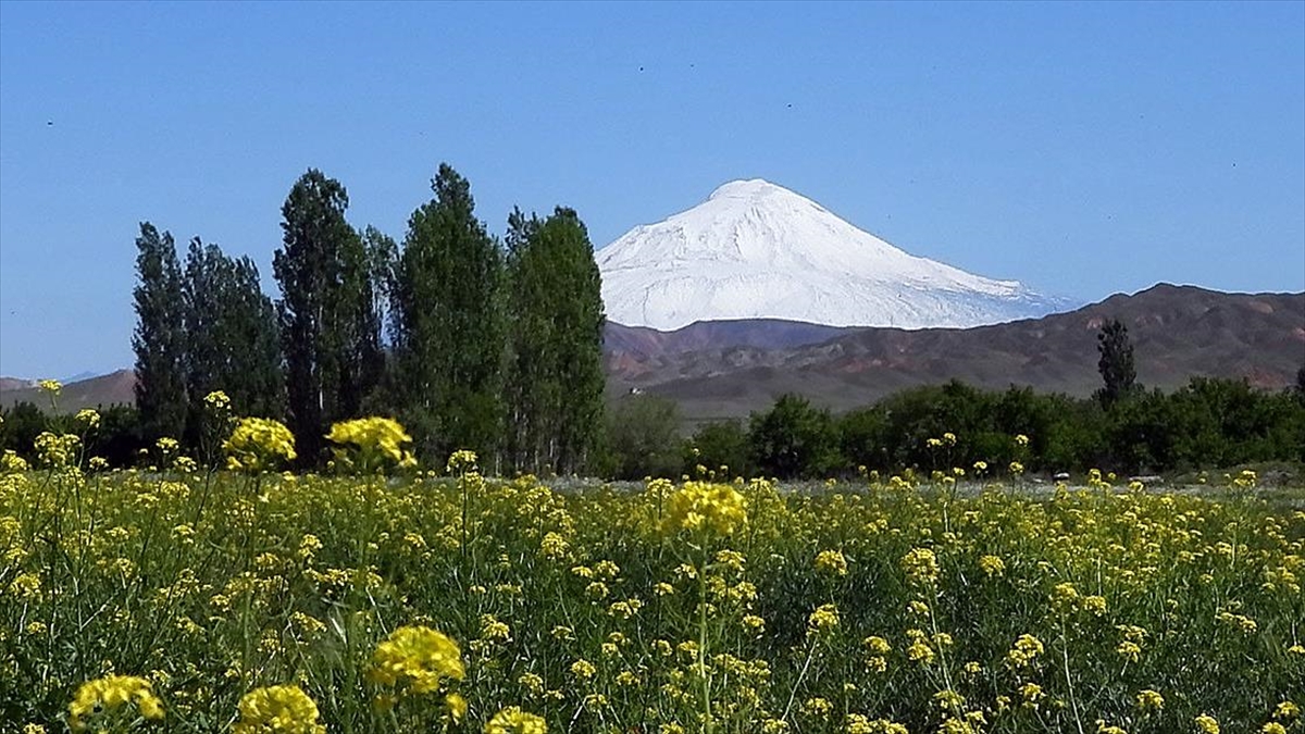 Ağrı Dağı'nın Zirvesi Mayısta Beyaza Büründü