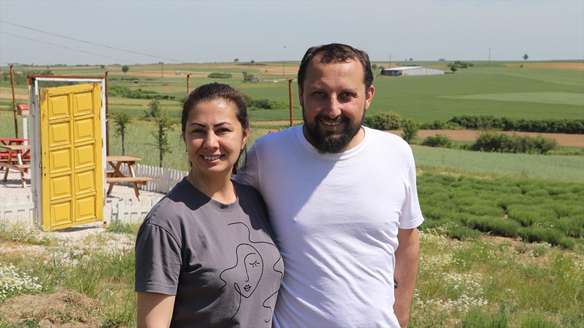 İstanbullu Çift Edirne'de Lavanta Üreticisi Oldu