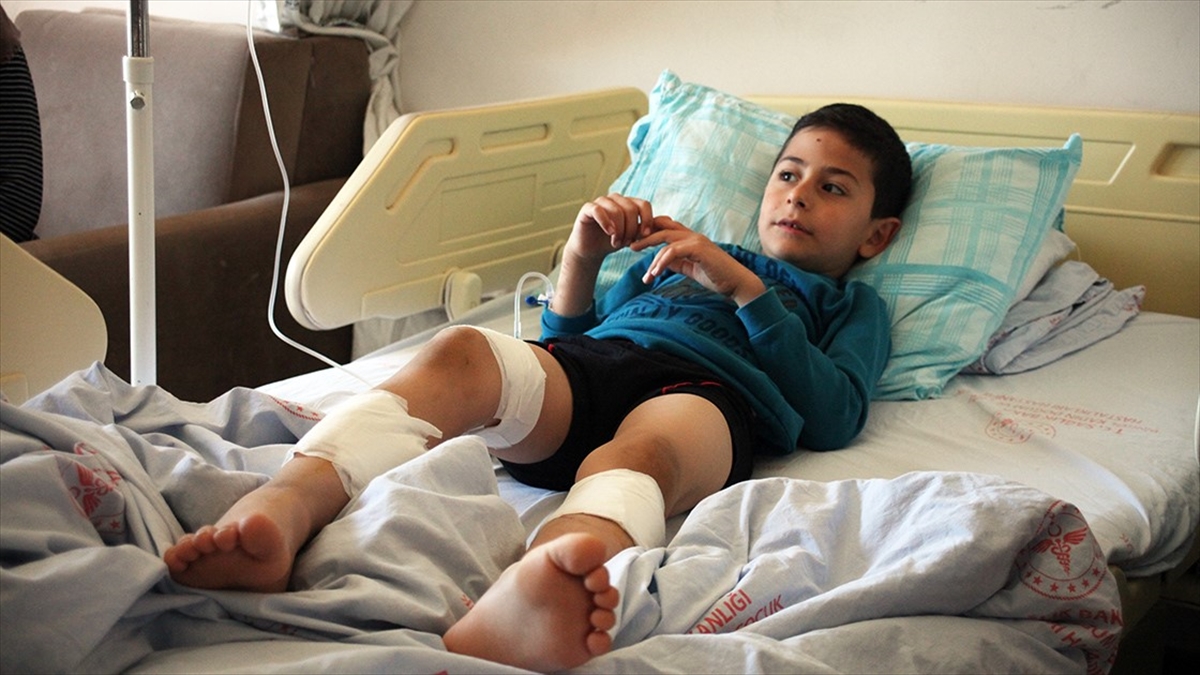 Bingöl'de Sahipsiz 4 Köpeğin Saldırısına Uğrayan Çocuk Yaralandı