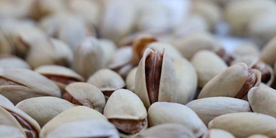 Siirt Fıstığı 'Fistalora' Markasıyla Dünyaya Açılıyor