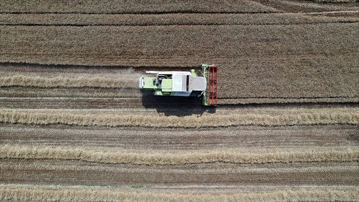 Tarımsal Destek Ödemeleri Bugün Başlıyor