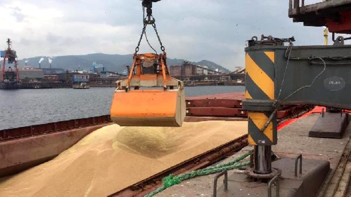 Bakanlık ithal edilmedi demişti: Hastalık çıkınca ülkeye sokmadılar