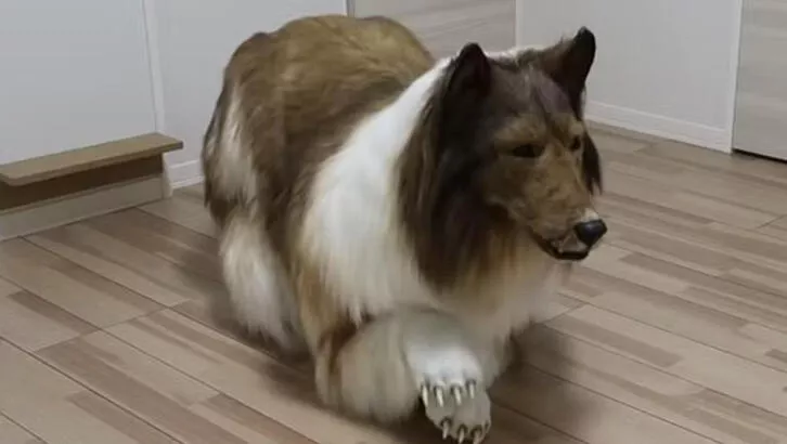 Köpeğe benzemek için 260 bin TL harcadı