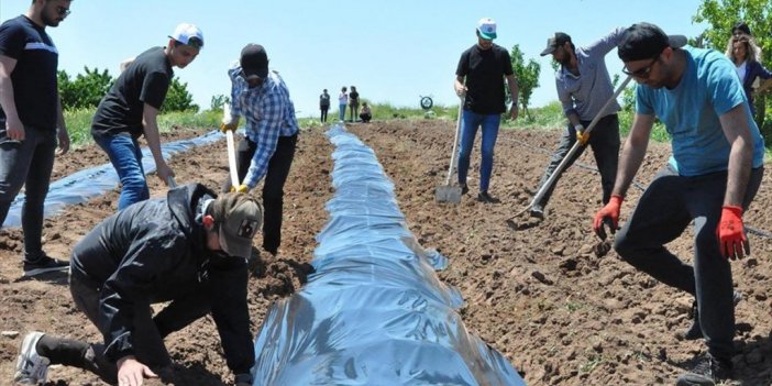 Geleceğin Ziraat Mühendisleri Uygulama Bahçelerinde Yetişiyor