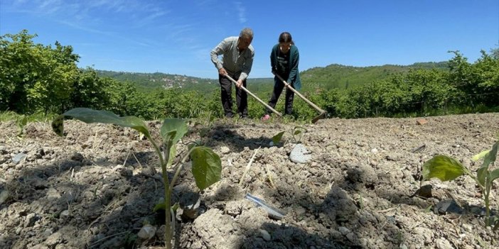 Romanların Köyü Bakırlık'ta Atıl Araziler Tarıma Kazandırıldı