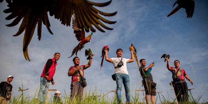Malezya'da Papağanlar 'dünya Papağanlar Günü' İçin Kanat Çırptı