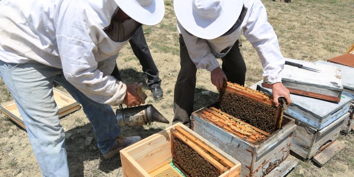 ARICILIK AKADEMİSİ 2’NCİ MEZUNLARINI VERDİ