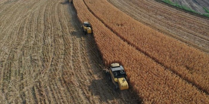 Tarımsal Destek Ödemeleri Başladı