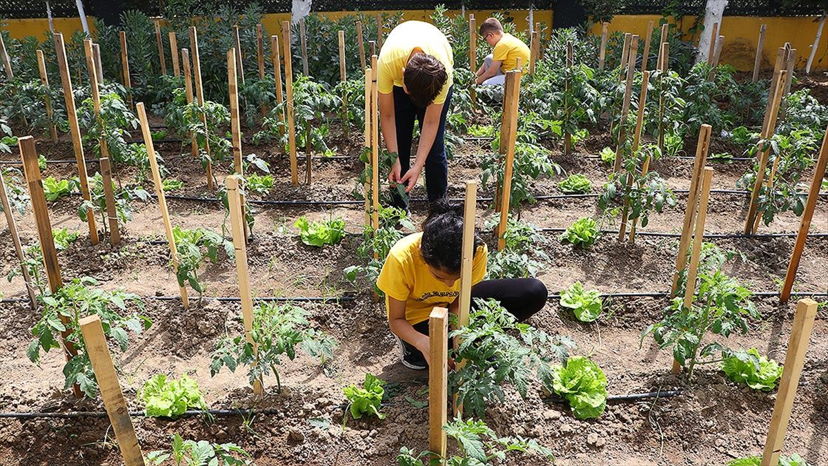 Çevre Dostu Okulda Öğrenciler Geri Dönüşüm Bilinciyle Yetişiyor