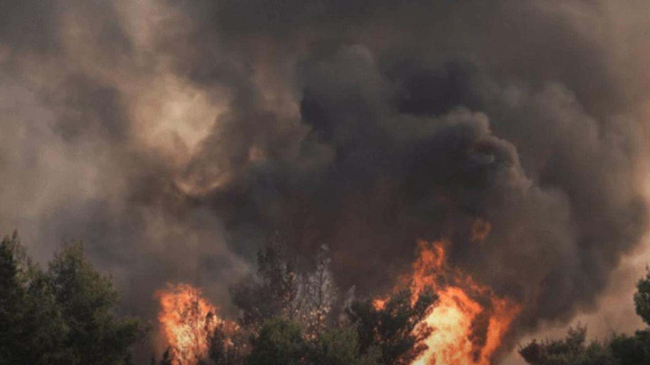 Yunanistan'da bir günde 61 orman yangını