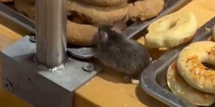 Ünlü Marketin Pastanesinde Davetsiz Misafir!