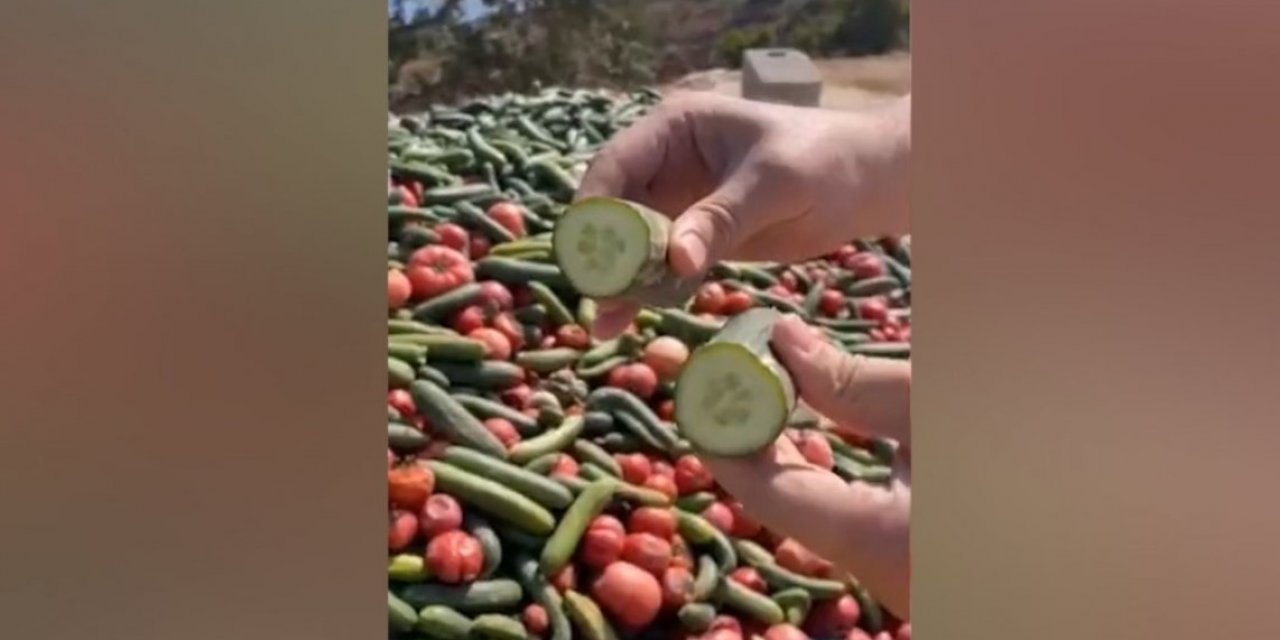Antalya'da tonlarca sebzeyi boş araziye döktüler