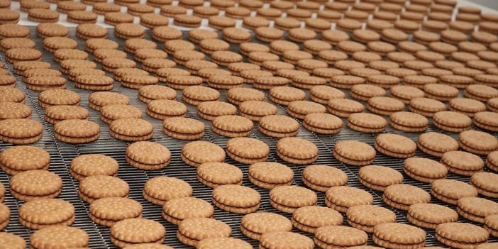 Türkiye'nin 500 Büyük Şirketinden 93'ü Gıda Sektöründen