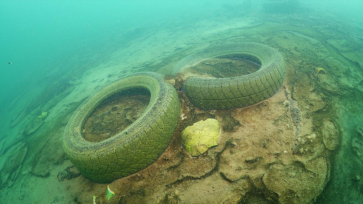 Sualtı Görüntü Yönetmeni Ceylan, Van Gölü'ndeki Kirliliği Görüntüledi