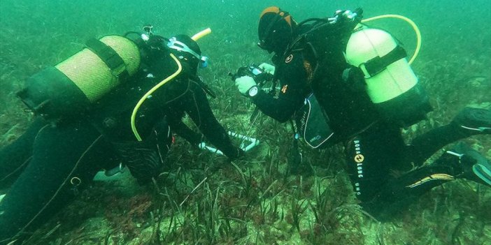 Ege'nin Su Altı Zenginliği "deniz Çayırları" Kayıt Altına Alınıyor