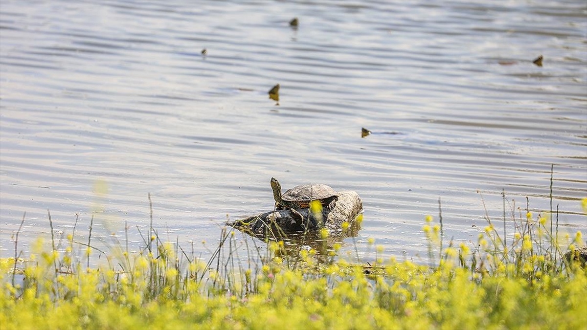 Çevre, Şehircilik Ve İklim Değişikliği Bakanlığı, 8 Ana Su Havzasında 19 Proje Başlattı
