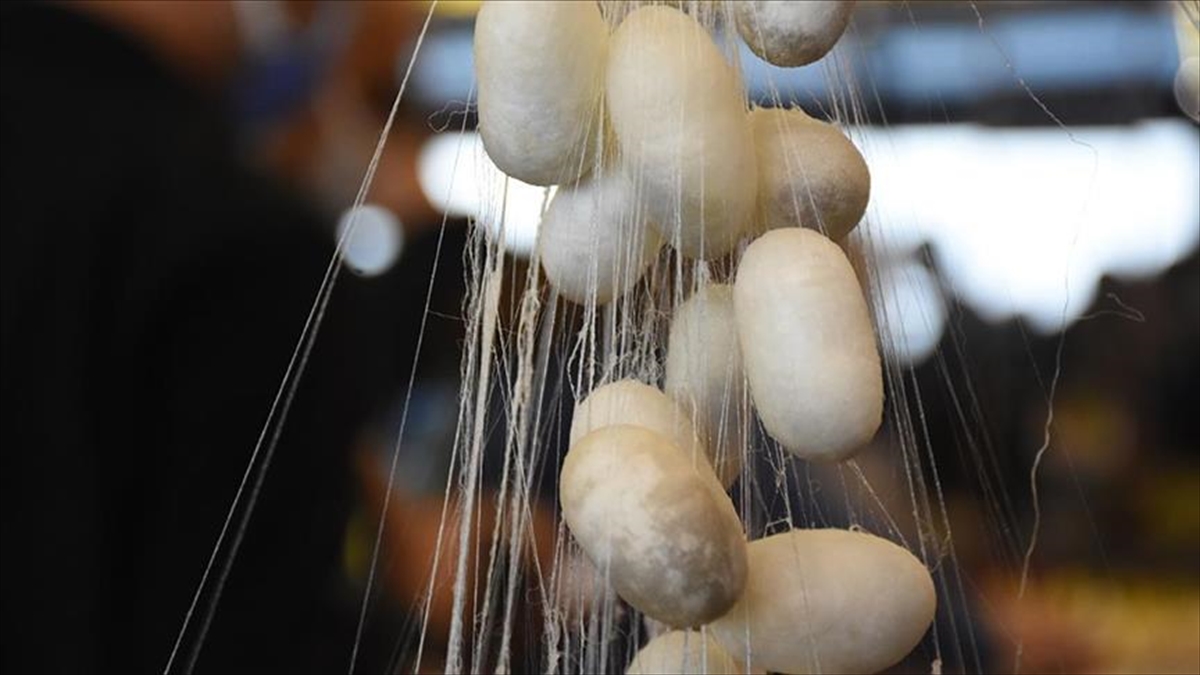 Tarım Ve Orman Bakanı Vahit Kirişci'den, Diyarbakır'da Yaş Koza Üreticilerine Müjde