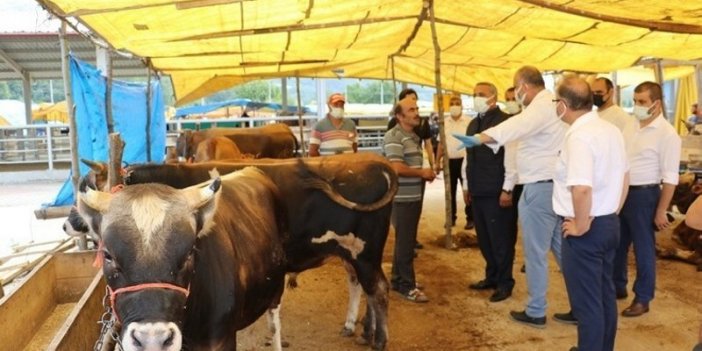 İl İl Kurbanlık Fiyatları Belli Oldu