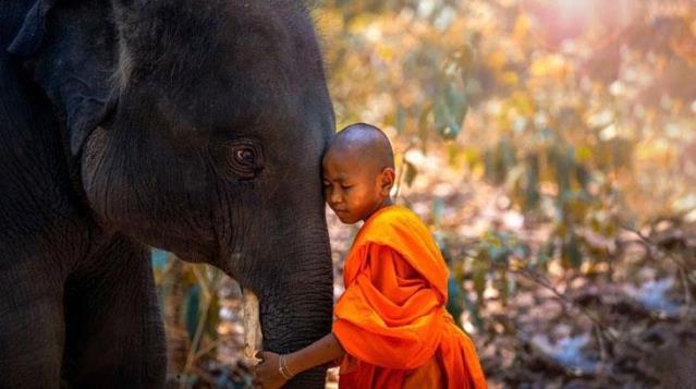 Bu ülkeye gittiğinizde sakın bir çocuğun başını okşamayın! İşte bazı ülkelerde yanlış anlaşılabilecek davranışlar