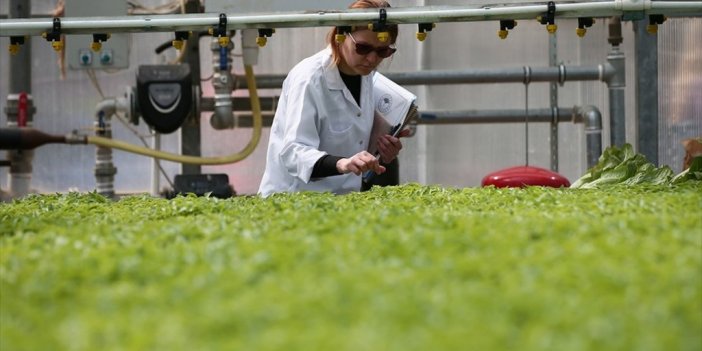 Tarımsal Araştırmalar Kapsamında Ar-ge Çalışmalarına 50 Milyon Liralık Bütçe Ayrıldı