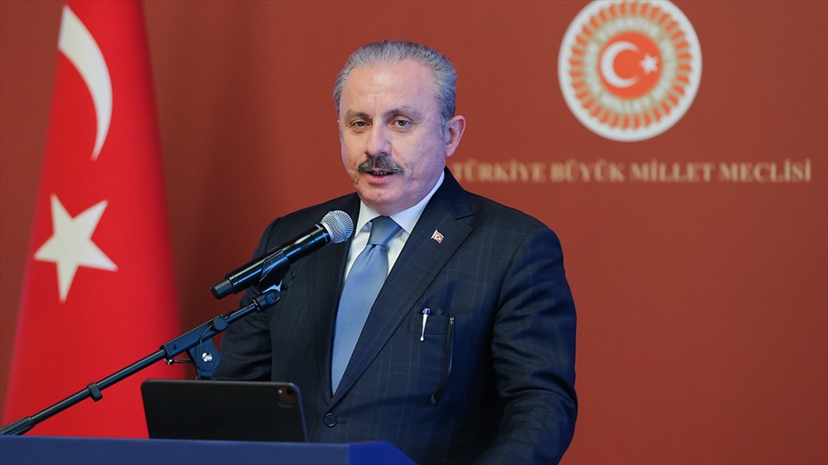 TBMM Başkanı Şentop'tan, Para Yüzme Milli Takımı'na Tebrik