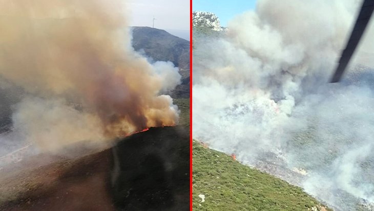 İzmir'de 42 hektarlık alan kül oldu Yangın 15 saat sonra söndürülebildi