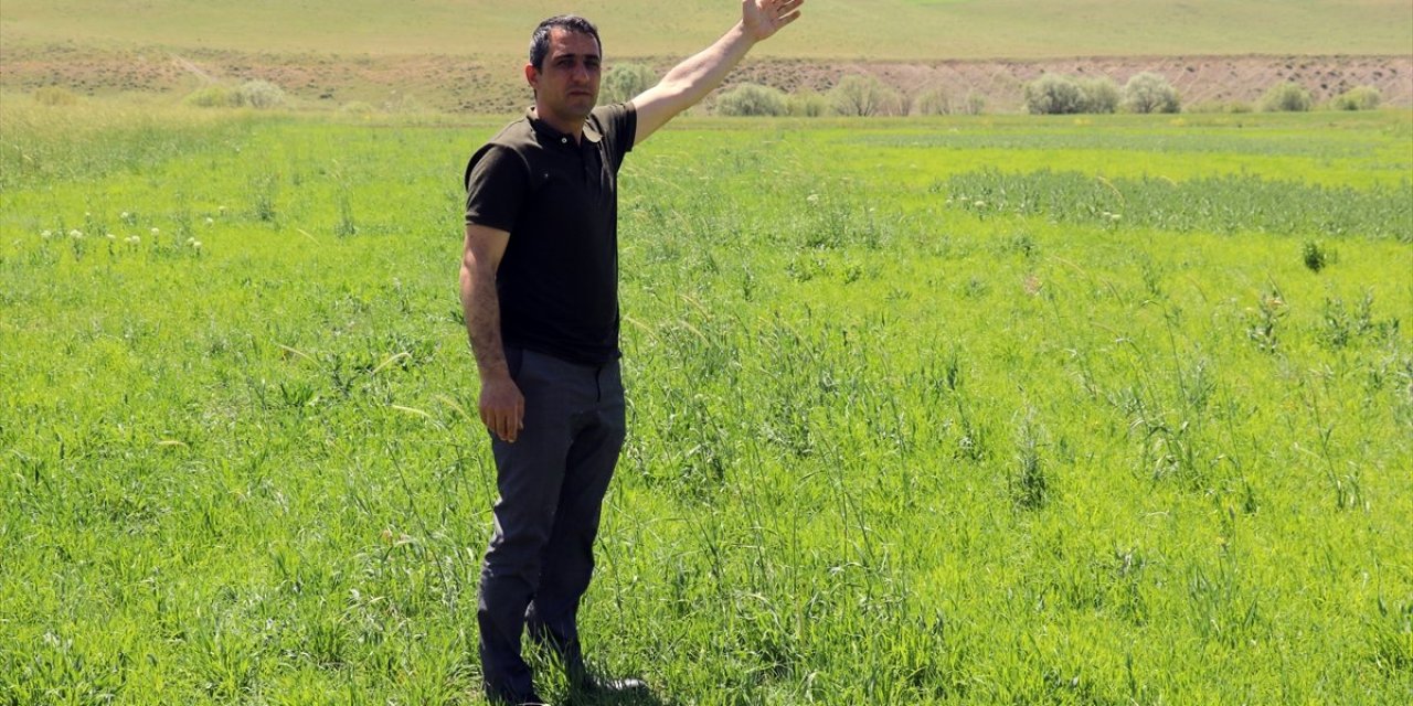 Artvinli Taner öğretmen, Ağrı'da ekilmeyen iki araziyi tarıma kazandırdı