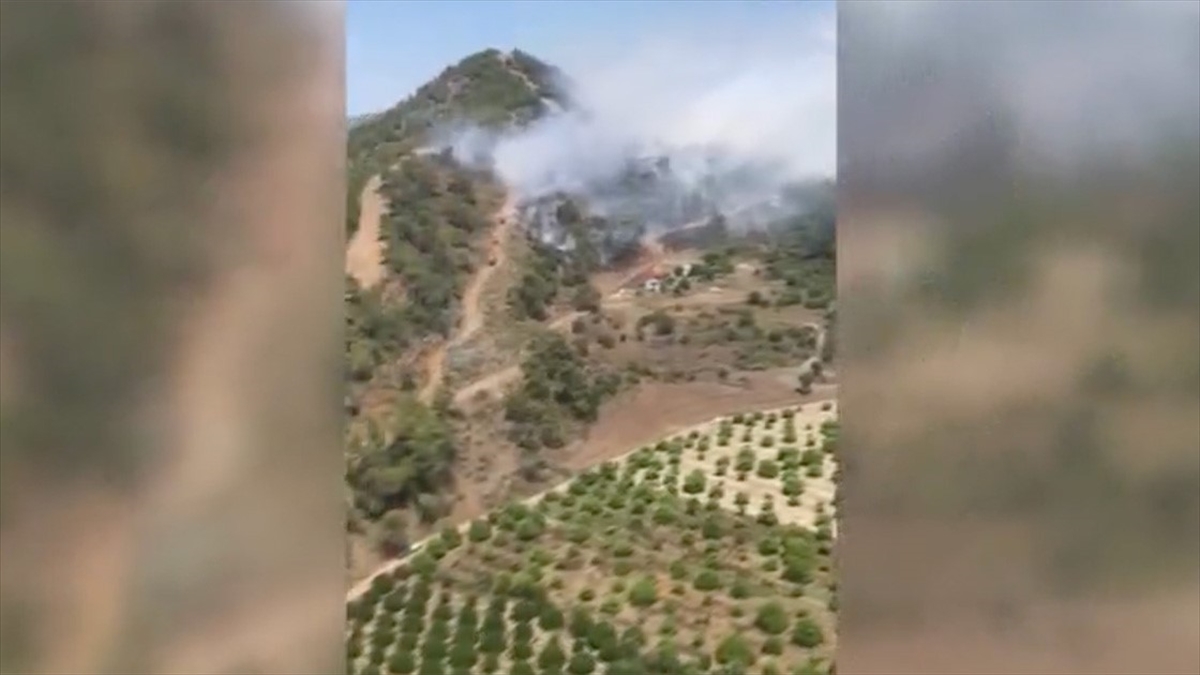Muğla'da Orman Yangını Çıktı