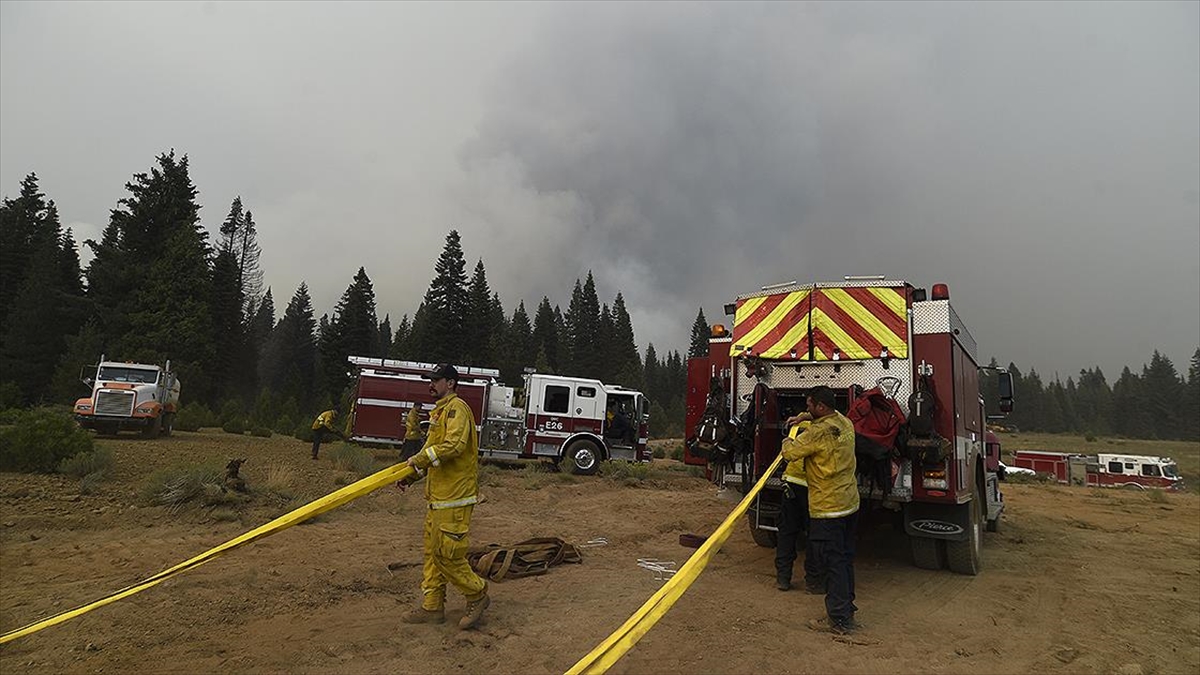 İklim Değişikliğiyle Birlikte Dünyada Orman Yangınları Hızla Yaygınlaşıyor