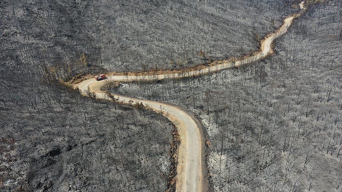 Marmaris'te Yanan Ormanlık Alanda Soğutma Çalışmaları Sürüyor