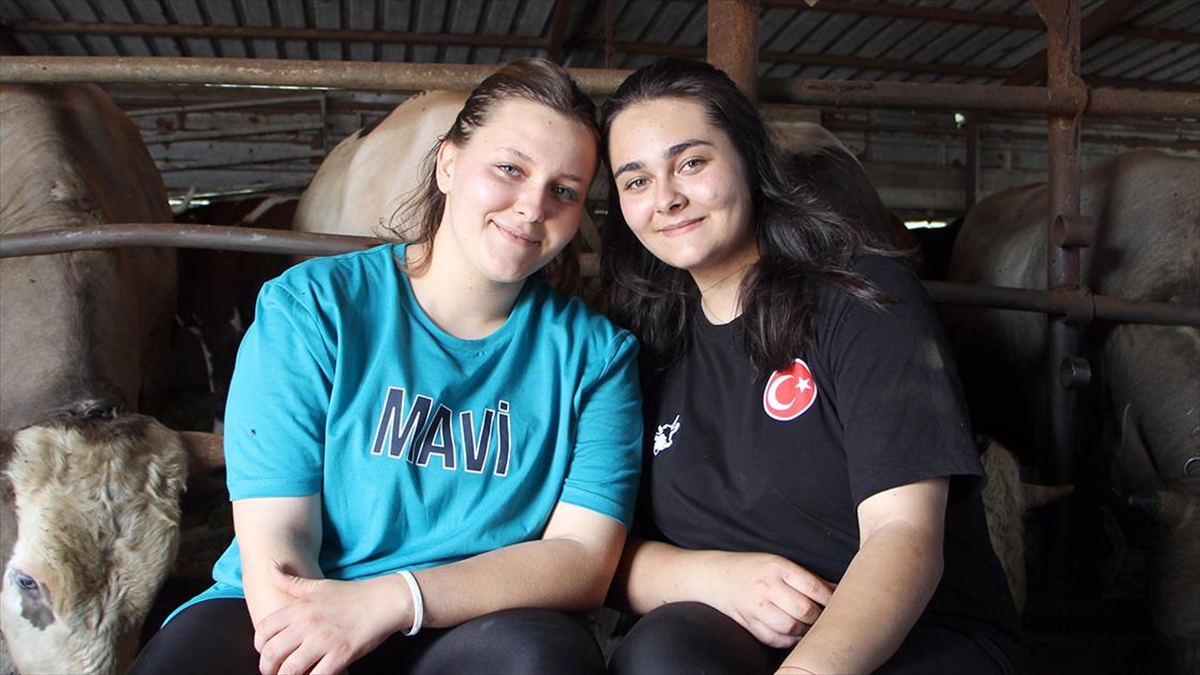 Baba Mesleği Hayvancılığı Devam Ettiren İki Kız Kardeş Kurbanlık Satışı Yapıyor