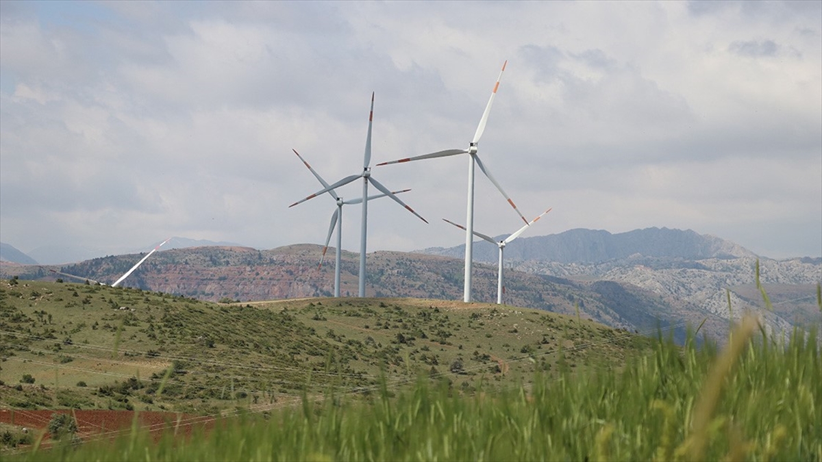 Undp Ve Ilo'dan Türkiye İçin Yeşil Dönüşüm Raporu