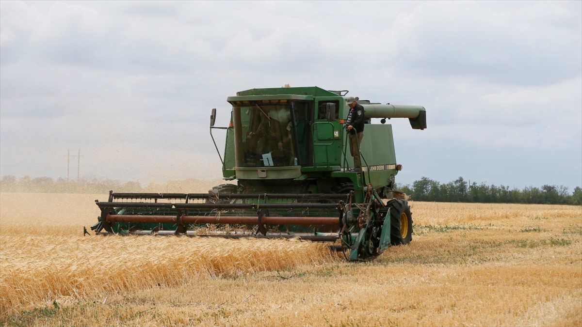 Putin: Gıda Durumunun Trajik Hale Gelmemesi İçin Önlemler Alınması Gerekiyor