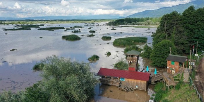 'İstanbul'un İçme Suyu Havzası'nda Son Yağışlarla Su Seviyesi Arttı